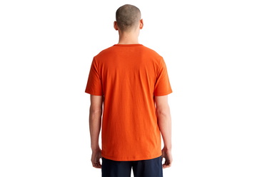 Timberland Oblečenie Ss Front Grphic Tee